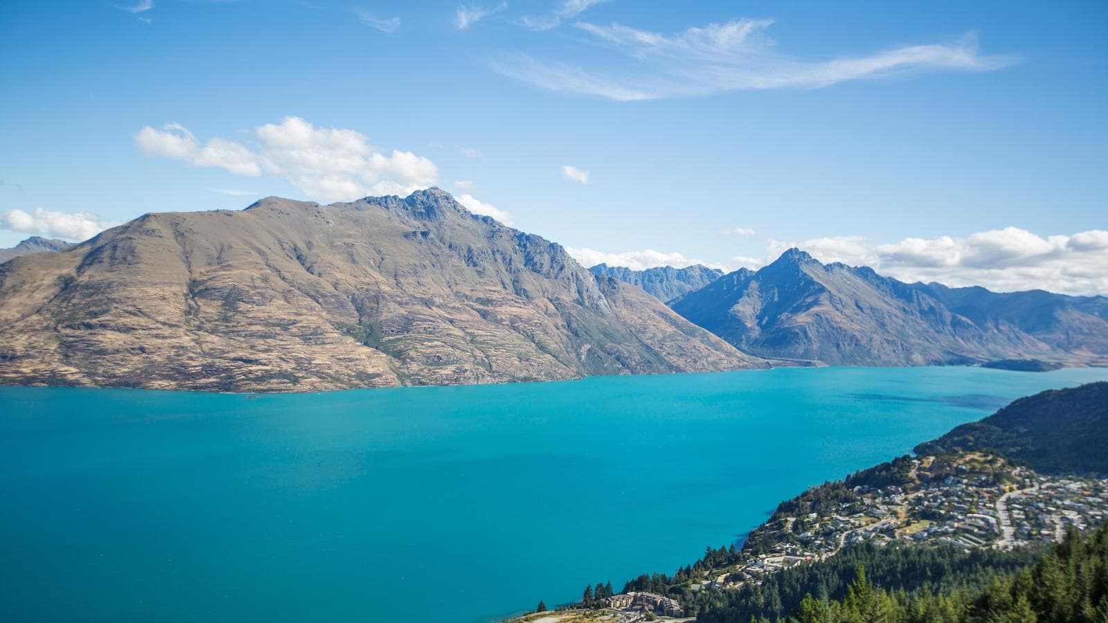 Banner image of New Zealand Express — Plus